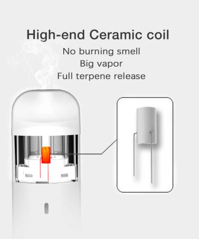 Wholesale-2-gram-Weed-dab-pen-empty-device-with-high-features-ceramic-Coil-for-hemp-oil