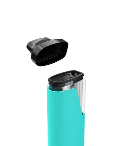 2 gram Box Disposable oil vape pen for distillate THC Detail 8 oil vaping bulk wholesale VEGA20 open mouthpiece
