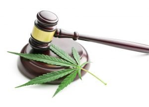 Law and regulation for Cannabis