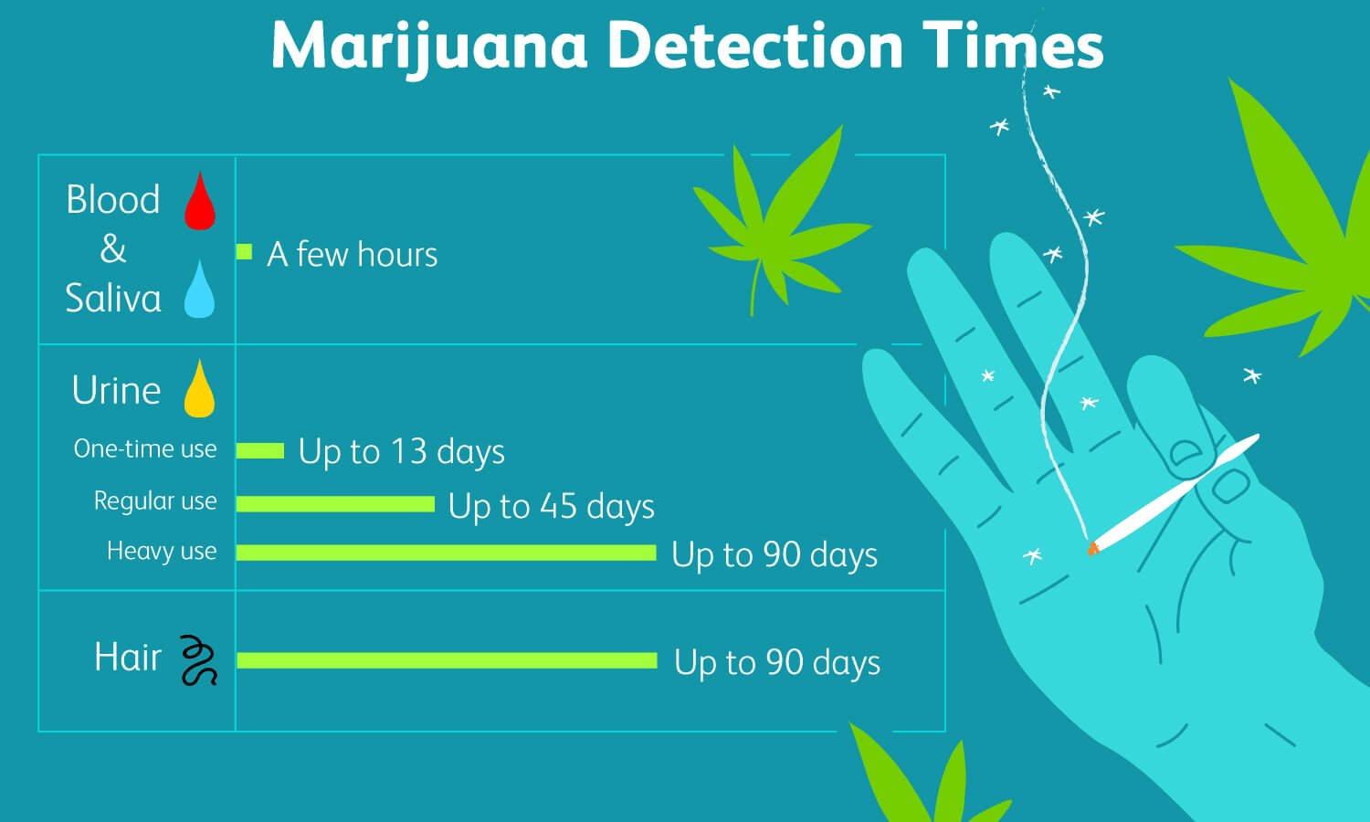 how-long-does-marijuana-stay-in-the-system