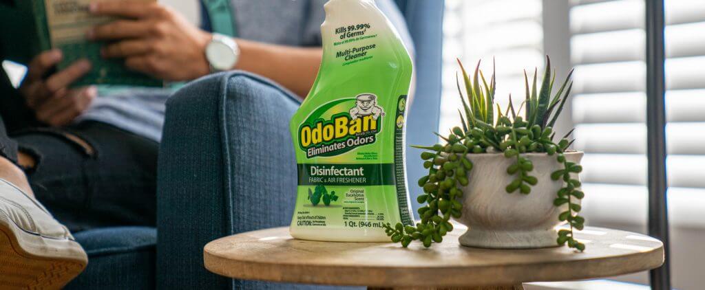 odor eliminators in home