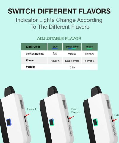 2 gram carts dual flavor disposable pen for dab wax and delta 8 hhc oil vape VEGA25 oil switch