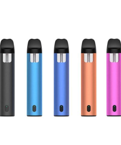 2 gram disposable vape pen empty dab pen with variable voltage battery VEGA222 collections