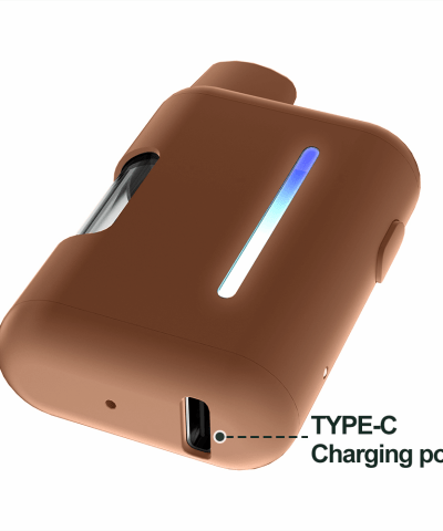 Empty-Dab-oil-Pen-Disposable-vape-box-VEGA211-with-Type-C-charge-port