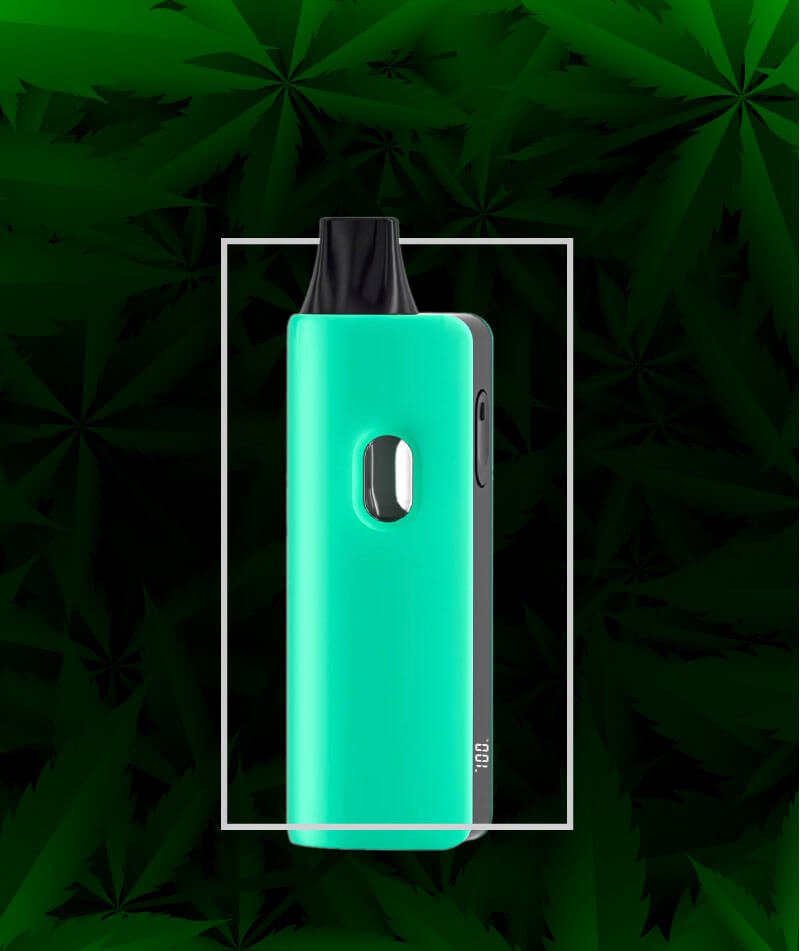 VEGA27 Banner for Mobile