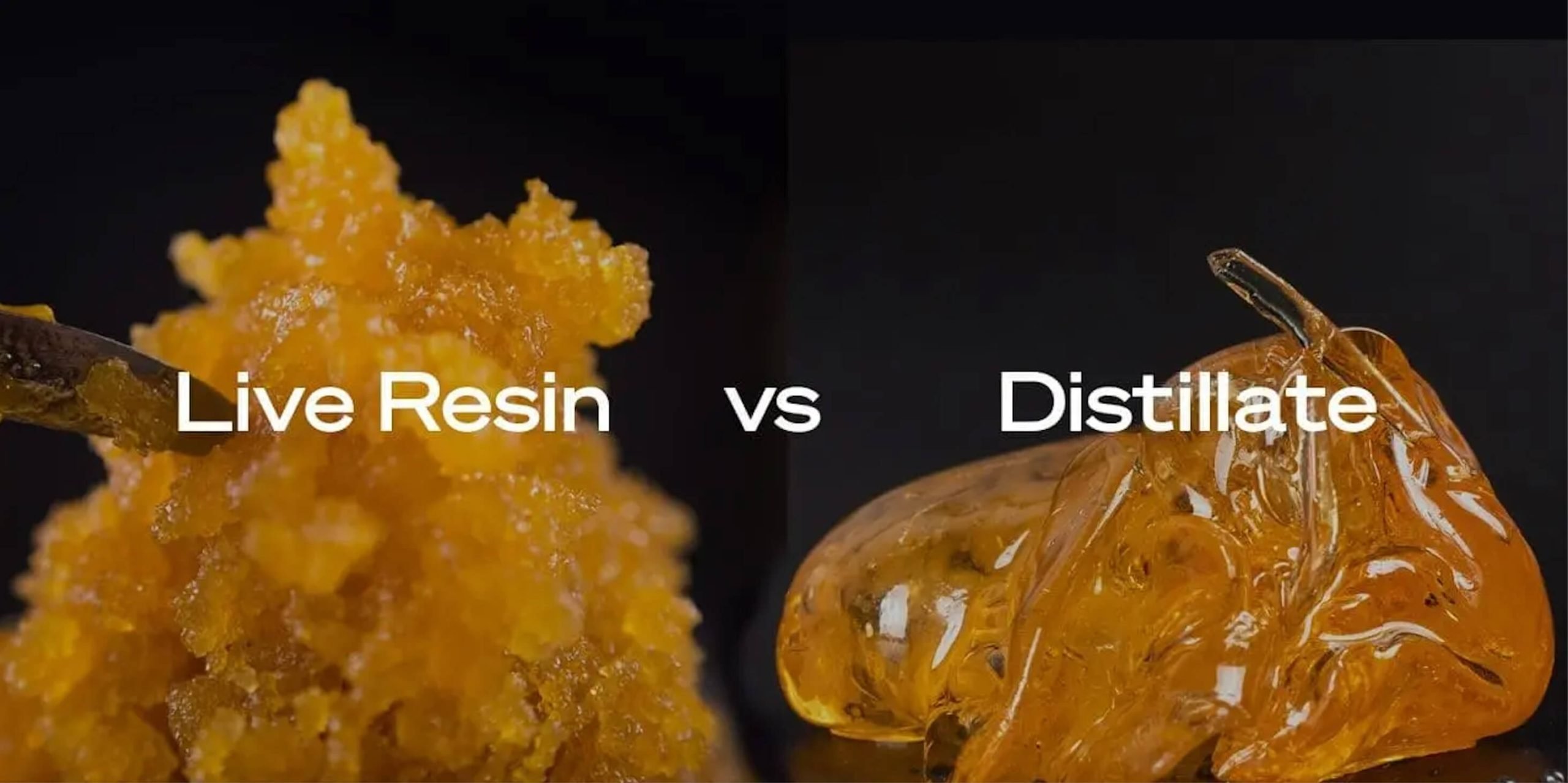 Live-Resin-VS-Distillate