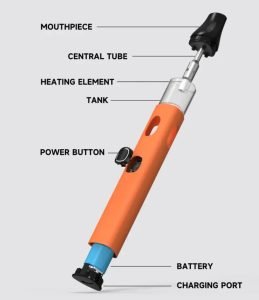 DIsposable-vape-pen-structures