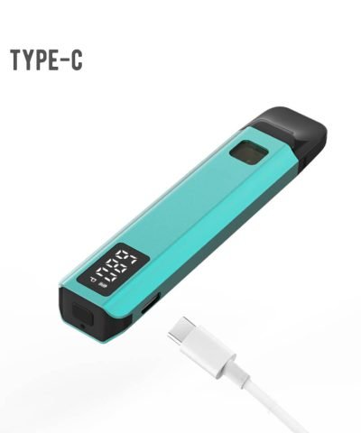 1 gram empty disposable vape cartridge pen VEGA03 With Type C charge port