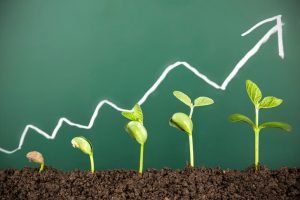 Your-Cannabis brand-grow-up