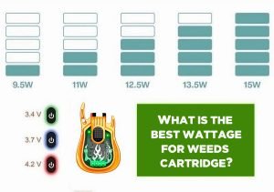 what-is-best-Wattage-for-weed-cart